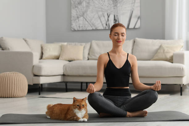 Easy habit building with cat