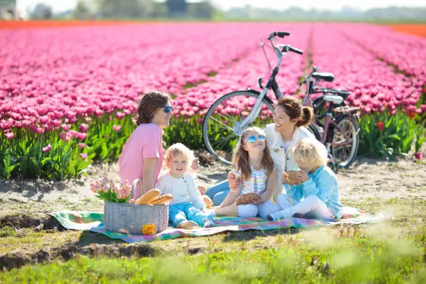 Creating family traditions at a picnic