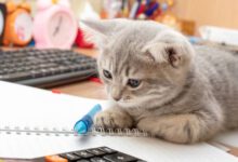 7 Unusual Daily Habits of Highly Creative People