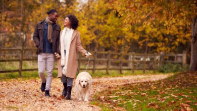 Relationship dynamics discussion during a park walk