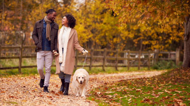 Relationship dynamics discussion during a park walk