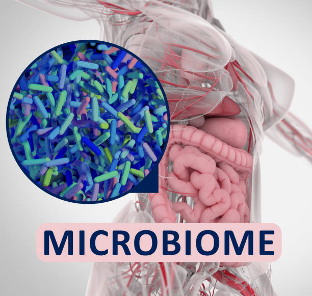 Graphic of gut microbiome