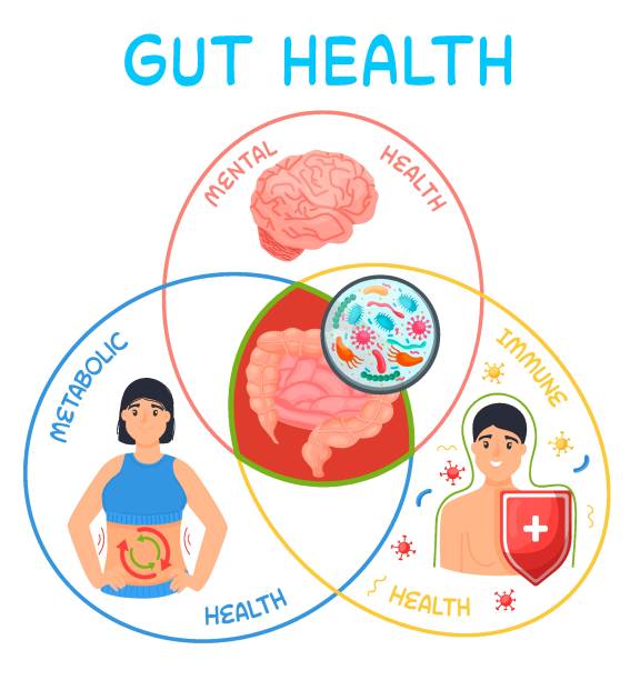 Best probiotic foods for gut health shown in a colorful infographic